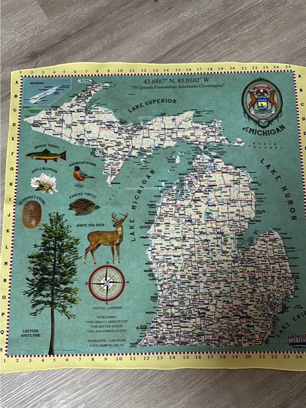 State of Michigan Bandana